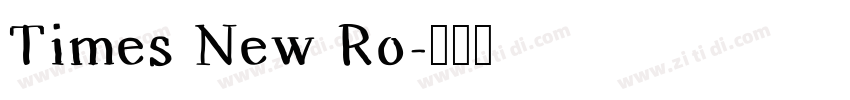 Times New Ro字体转换